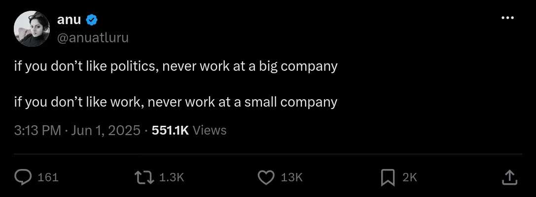 anu (@anuatluru) on X, 1 June 2025: 'if you don't like politics, never work at a big
                         company — if you don't like work, never work at a small company.'